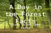 A Day in the Forest Facts Study Guide Game Cards.