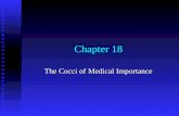 Chapter 18 The Cocci of Medical Importance. General Characteristics of the Staphylococci Nonmotile, gram- positive cocci arranged in irregular clusters.