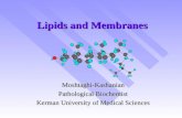 Lipids and Membranes Moshtaghi-Kashanian Pathological Biochemist Kerman University of Medical Sciences.