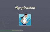 Respiration This Powerpoint is hosted on  Please visit for 1000+ free powerpoints.
