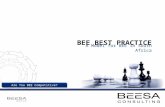 Are You BEE Competitive? BEE BEST PRACTICE A Model for BEE in South Africa.