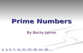 Prime Numbers By Becky James. Prime Numbers Prime numbers are numbers which have no factors other than 1 and itself. The ancient Chinese discovered the.