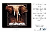 © CSIR 2008 Elephantom or prerequisite for successful African repositories? Martie van Deventer 01 April 2009.