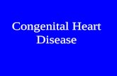Congenital Heart Disease. Incidence of 1% in general population. VSD is most common CHD TOF is most common cyanotic CHD TGA is most common cyanotic CHD.