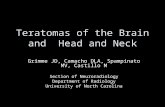 Teratomas of the Brain and Head and Neck Grimme JD, Camacho DLA, Spampinato MV, Castillo M Section of Neuroradiology Department of Radiology University.
