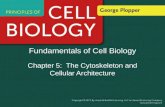 Fundamentals of Cell Biology Chapter 5: The Cytoskeleton and Cellular Architecture.