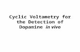 Cyclic Voltametry for the Detection of Dopamine in vivo.