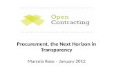 Procurement, the Next Horizon in Transparency Marcela Rozo – January 2012.