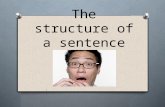 The structure of a sentence. Sentences always have a subject What is a subject?  Someone or something that is being described or is doing something.
