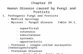 Chapter 39 Human Disease caused by Fungi and Protists 1.Pathogenic Fungi and Protists - Medical mycology - Mycoses : fungal disease Table 39.1, ∙ superficial.