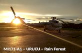 MI171-A1 – URUCU – Rain Forest. MI171-A1 – 2 year of success.