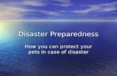 Disaster Preparedness How you can protect your pets in case of disaster.