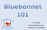 TLA 2010 Texas Bluebonnet Program Committee >CC BY-NC 2.0.