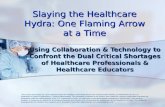 Slaying the Healthcare Hydra: One Flaming Arrow at a Time Using Collaboration & Technology to Confront the Dual Critical Shortages of Healthcare Professionals.