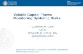 DiSIA DIPARTIMENTO DI STATISTICA, INFORMATICA, APPLICAZIONI "GIUSEPPE PARENTI" Volatile Capital Flows: Monitoring Systemic Risks Giampiero M. Gallo DiSIA.