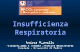 Insufficienza Respiratoria Andrea Vianello Fisiopatologia e Terapia Intensiva Respiratoria Ospedale – Università di Padova.