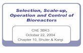 Biorecator Scale up Lecture 18 - Oct 22