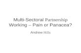 Multi-Sectoral Partnership Working – Pain or Panacea? Andrew Hills.