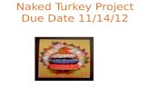 Naked Turkey Project Due Date 11/14/12.