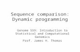 Sequence comparison: Dynamic programming Genome 559: Introduction to Statistical and Computational Genomics Prof. James H. Thomas.