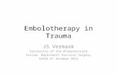 Embolotherapy in Trauma JS Vermaak University of the Witwatersrand Fellow: Department Vascular Surgery VASSA 6 th October 2012.