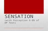 SENSATION (with Perception 6-8% of AP Test). WHAT IS SENSATION? Sensation: refers to the process of attending to and taking in stimuli from the environment.