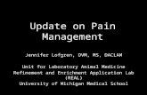 Update on Pain Management Jennifer Lofgren, DVM, MS, DACLAM Unit for Laboratory Animal Medicine Refinement and Enrichment Application Lab (REAL) University.