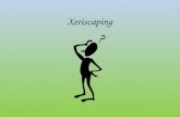 Xeriscaping. What Does That Mean? “SCAPING” = “DRESSING” THUS, LAND-SCAPING MEANS “DRESSING THE LAND”, AND XERI-SCAPING MEANS DRESSING THE LAND WITH.
