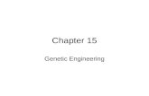 Chapter 15 Genetic Engineering. Chapter Mystery A case of mistaken identity Page 417 Hypothesis: How did the police know they had the wrong suspect?