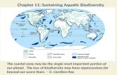 Chapter 11: Sustaining Aquatic Biodiversity The coastal zone may be the single most important portion of our planet. The loss of biodiversity may have.