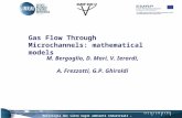 Metrologia del vuoto negli ambienti industriali – Torino - 27 giugno 2013 Gas Flow Through Microchannels: mathematical models M. Bergoglio, D. Mari, V.