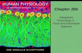 Chapter 20b Integrative Physiology II: Fluid and Electrolyte Balance.