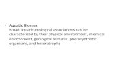 Aquatic Biomes Broad aquatic ecological associations can be characterized by their physical environment, chemical environment, geological features, photosynthetic.