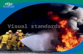 Visual standards. What are visual standards? Many occupations and activities require people to have particular levels of vision Visual standards are needed.