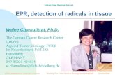 1 EPR, detection of radicals in tissue Walee Chamulitrat, Ph.D. The German Cancer Research Center (DKFZ) Applied Tumor Virology, F0700 Im Neuenheimerd.