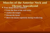 Muscles of the Anterior Neck and Throat: Suprahyoid Four deep throat muscles Four deep throat muscles Form the floor of the oral cavity Form the floor.