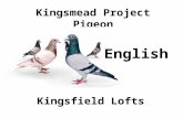 Kingsmead Project Pigeon Kingsfield Lofts English.