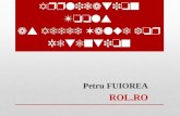 Customer Own Content Development & Application Tools as Added Value for Retention Petru FUIOREA ROL.RO.