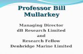 Professor Bill Mullarkey Managing Director dB Research Limited and Research Fellow Denbridge Marine Limited.
