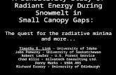 A Sensitivity Study of Radiant Energy During Snowmelt in Small Canopy Gaps: The quest for the radiative minima and more... Timothy E. Link - University.