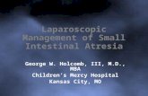 Laparoscopic Management of Small Intestinal Atresia George W. Holcomb, III, M.D., MBA Children’s Mercy Hospital Kansas City, MO.