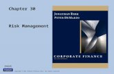 Copyright © 2011 Pearson Prentice Hall. All rights reserved. Chapter 30 Risk Management.