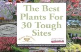 Mary Meyer, Deb Brown, Mike Zins. Table of Contents Alkaline Soil Annuals 3 Feet or More Annual Vines That Grow Quickly Boulevard Gardens: Perennials.