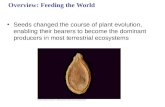 Overview: Feeding the World Seeds changed the course of plant evolution, enabling their bearers to become the dominant producers in most terrestrial ecosystems.