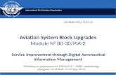 International Civil Aviation Organization Aviation System Block Upgrades Module N° B0-30/PIA-2 Service Improvement through Digital Aeronautical Information.