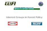 Interest Groups in Forest Policy. Today’s Lecture Interest Groups – strategies – resources Organization, resources, and strategies for – Industry Groups.