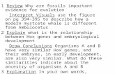 1 Review Why are fossils important evidence for evolution Interpret Visuals use the figure on pg 394-395 to describe how a modern mystcete whale is different.