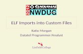 ELF Imports into Custom Files Katie Morgan Datatel Programmer/Analyst.