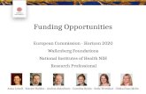 Funding Opportunities European Commission - Horizon 2020 Wallenberg Foundations National Institutes of Health NIH Research Professional Anna Lobell - Krister.