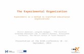 The Experimental Organization Experiments as a method to transform educational organizations Dorrit Sørensen, program manager, ‘The Vocation Oriented Education.